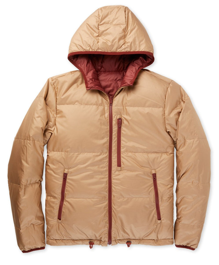 Chromatic Hooded Puffer