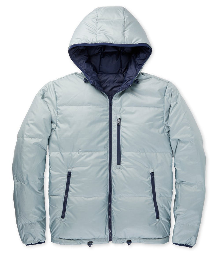 Chromatic Hooded Puffer