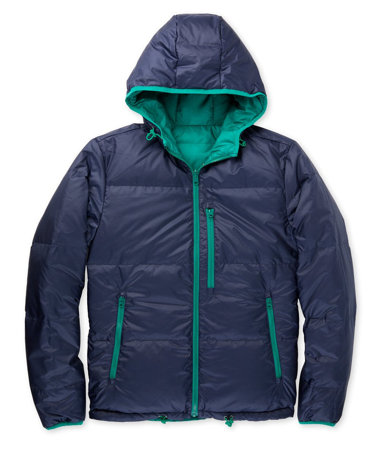 Chromatic Hooded Puffer