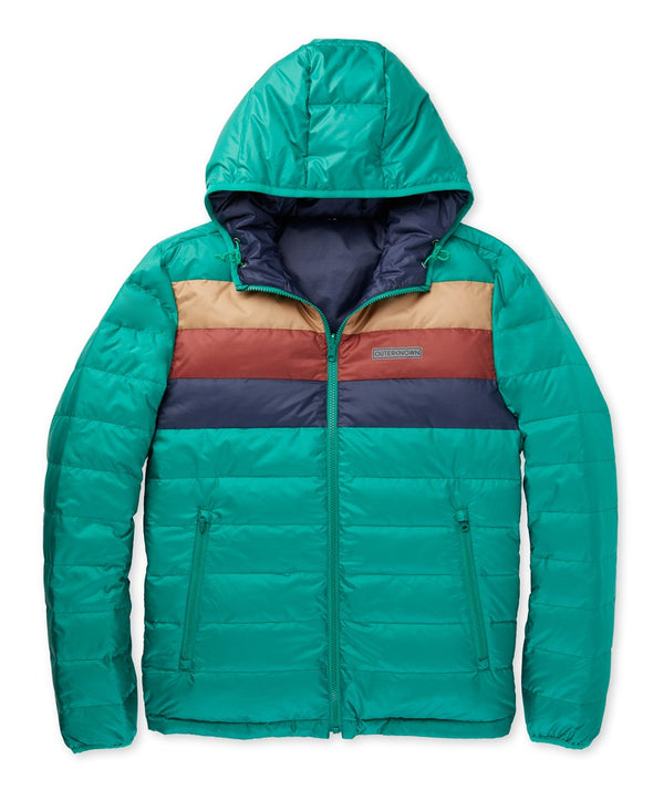 Chromatic Hooded Puffer