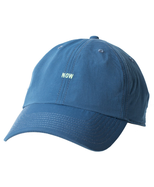Evolution Dad Hat