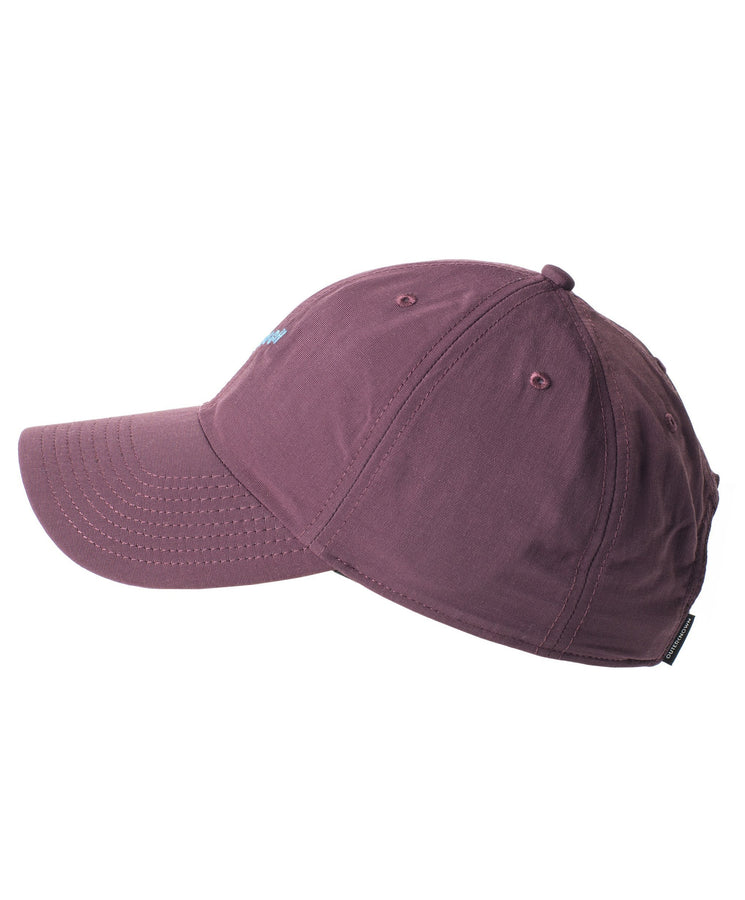 Evolution Dad Hat