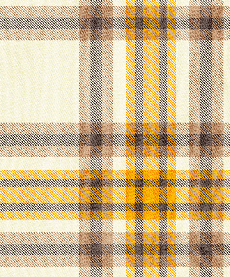 Project Vermont Blanket Shirt Plaid Pillow